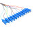 首千 SHOCHAN SQ-GSC-12 电信级单模光纤跳线尾纤 1.5米12芯SC束状尾纤 ODF单元体光纤机架网线配线