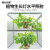 南北仪器 智能人工气候培养箱实验室工业恒温恒湿植物生长生物培养箱 人工气候培养箱 YKRC-500A 