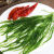欧因龙须菜海菜石花菜食材发菜长寿海草海产品 鲜木鲜木 2斤