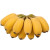 广西小米蕉苹果蕉新鲜水果整箱当季水果香蕉芭蕉皇帝蕉自然熟当季 1500g