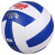 红双喜（DHS）排球中考考试专业用球学生充气软式男女比赛儿童初中生训练排球 FV512（白/蓝色）