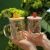 奶茶杯可循环创意新款高硼硅透明玻璃杯可爱水果高颜值家用果汁杯吸管杯大容量 西瓜 杯+陶瓷盖+吸管+吸管刷