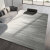 现代简约地毯客厅轻奢沙发茶几毯北欧风灰色卧室地  250*300cm(整 素晖-7R