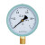 托勒思 Y-100压力表径向真空压力表指针式水压表油压表气压表 0-1.0MPa 1个
