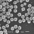 单分散二氧化硅磁性微球生物磁珠（0.05-200微米） 100纳米 2.5%10毫升 25mg/ml