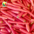 农之子 沙窝萝卜种子天津水果罗卜籽四季种青萝卜绿大全 玫瑰红胡萝卜种子 2g约1500粒
