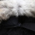 CANADA GOOSE 女士黑色连帽REGULAR版短款羽绒服 7999LA 61  M