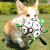 楚克奇狗狗玩具球边牧自嗨玩具拉布拉多柯基训练专用互动狗足球宠物用品 15cm厨师狗+含气筒气嘴针