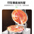 圣托（Shentop）商用电饼铛电热铛特大号大型双面加热烤饼机 食堂酱香葱油饼千层饼机器 煎包锅煎饼机 STBD-B55