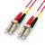 胜为（shengwei）FMCK-1100 电信级铠装光纤跳线LC-LC网线多模双芯10米 防鼠咬室内抗拉尾纤缆（条）
