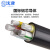 沈津 ZR-YJLV-0.6/1KV-3*25+2*16mm² 国标铝芯阻燃电力电缆 1米