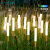 景观灯芦苇灯LED灯防水室外草地灯花园 灯具光源为  12V低压