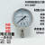 上海天川耐震全不锈钢304压力表YN-60BF耐高温防腐抗震水气油压表 压力0 0.6MPA