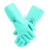 雷克兰EN15F丁腈橡胶防化手套防油耐酸碱抗撕裂防滑劳保手套（有衬里） 绿色33cm 11码