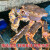 帝王蟹鲜活冻海鲜水产礼盒生冻10斤长脚蟹超大号皇帝蟹巨型蜘蛛蟹 生冻帝王蟹腿（1~1.2斤）