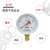 红旗牌仪表YY-60乙炔压力表氩气压力表氮气压力表氢气压力表 0~2.5MPa