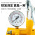 键尔固家用测压泵压力泵地暖检漏仪手动试压泵ppr水管打压机增压泵 25KG泵标准款+1.5米管