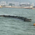 大工象 橡胶围油栏 WGJ800 1米 加厚含全套配件 固体浮子式围油栏水域海面防护围挡
