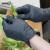 爱马斯（AMMEX） GPNBC 黑色丁腈手套 一次性丁腈手套 加厚耐用型 1盒（100只/盒） 黑 S 2 