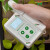 叶绿素检测仪测定仪植物营养测量计手持式叶面无损氮含量测量仪器 HM-YD型