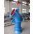 定制200ZLB10YZ轴流泵水泵不锈钢长轴式大流量灌溉高扬程铸铁议价 300ZLB/12YZ 300ZLB配185KW