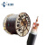 珠江冠缆国标硬芯阻燃YJV 5X2.5平方三相四线电力电缆线 一米价