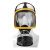梅安防毒面具全面罩 喷漆农药化工专用有毒气体消防粉尘异味防毒面罩 面具+0.5米导气管+1号滤毒罐