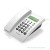 鸿谱 电话机座机来电显示免电池免提壁挂通讯电话机 HCD868(79型) 白色