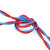 CN30 双色双绞花线双股软电线阻燃型RVS国标铜芯软线 单位：卷 （2芯2.5平方100米）红白