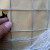 镀锌铁丝网围栏家用户外栅栏养殖防护网片热镀锌钢丝网养鸡鸭围网 粗1.6mm网格5*7cm长30m宽1.5m