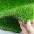 兰诗（LAUTEE） 人造草坪地垫 WSD0029 军绿色 10mm 1块/平方米