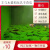 新宠之康短绒藻长绒藻绿藻种藻石绿藻水培藻鱼缸莫斯水草增氧种子绿植地毯 30缸:藻种100ml
