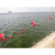 海洋航道大浮标球河道湖泊浮球浮漂安全警示标志水位渔网塑料浮球憬芊 墨绿色 φ20cm串心红色生 其他
