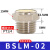 电磁阀气动消音器BSL02铜质消声滤芯过滤器气动接头 BSLM-02 平头消音器