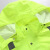 禹顺 荧光绿反光雨衣交通警示成人分体反光衣摩托车骑行加厚防水服套装 荧光绿上衣+绿裤 S-160