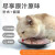 渔晓吃喵餐包猫罐头猫湿粮泰国进口浓汤成猫幼猫粮鲜肉汤包40g高肉量 随机口味 7包