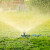 自动旋转浇水喷头园林灌溉喷淋头园艺淋菜淋水洒水器喷水菜园草坪 卡其色