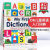DK日语英语双语图解字典 英文原版 Japanese-English Bilingual Visua DK儿童英语入门词典