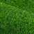 居拾忆 仿真人造草坪加厚加密假草坪塑料绿色地毯围档室内操场装饰草人工草坪 15mm军绿色/平方