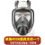 婕茵桐防毒面具面罩全脸防护防尘囗罩全面罩工业粉尘化工气体喷漆消防 4006主体1个