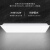 三雄极光（PAK）厨卫灯具 LED高亮节能耐用厨房卫生间面板灯 铝扣式 集成吊顶式 平板灯 星韵 暖白光（4000K） 300*300面板灯-14W