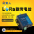 lora无线模块数传终端电台/LORA扩频串口服务器DTU有人LG206-L-C 常规(带配件)
