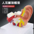 科睿才耳朵模型人耳解剖采耳教学培训耳鼻喉科教学展示内耳结构医学模型 B款-3倍放大-拆分3部件 77615 