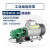 WCB小型不锈钢自吸齿轮油泵220V液压油机油泵柴油泵食用油抽油泵 WCB-30一寸口径(25mm)高温款