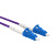 胜为SW-AS2LC-1.5S 电信级铠装光纤跳线 LC-LC单模单芯1.5米 防鼠咬室内抗拉尾纤缆