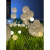 博雷奇led发光蒲公英灯户外防水光纤芦苇灯草坪灯景观工程亮化灯装饰灯 乳白色 15cm铝线球