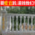 别墅欧式罗马柱模具栏杆围栏阳台护栏花瓶柱现浇水泥建筑模板圆柱 栏杆卡扣2粒 98x98x98cm
