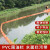 围油栏轻型PVC桔红色WGV450固体浮子式拦污带水面防扩散拦油河道 桔红色PVC450