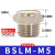 气动接头平头铜消声器BSLM-01/02/03/04/06/M5铜质静 BSLM-M (M5)