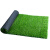 索德汉 仿真草坪地毯 人造草皮 1平米 2厘米夏草（高仿真加厚）